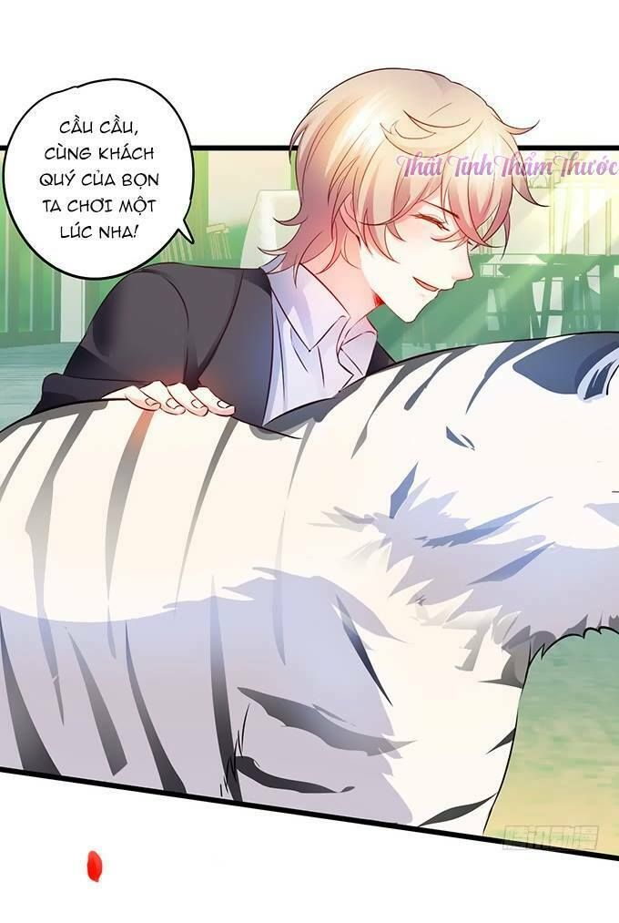 Hắc Đạo Này Có Chút Manh chapter 13 17