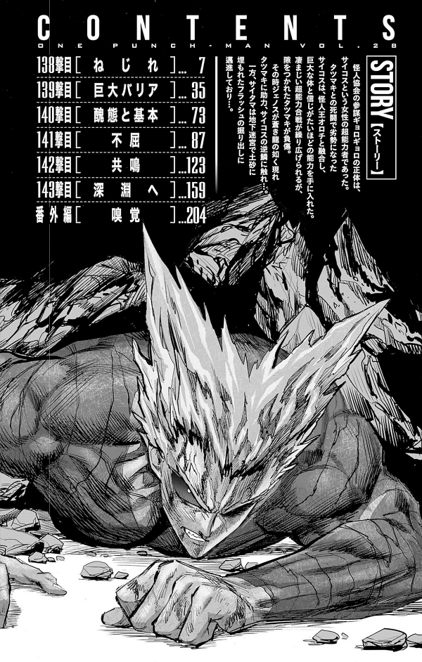 One Punch Man 28