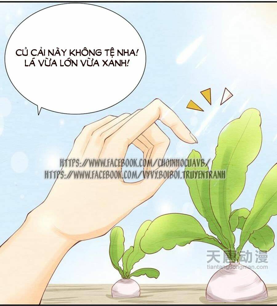 nhân hoa duyên chi sư phụ đại nhân cầu sủng ái chapter 4 14