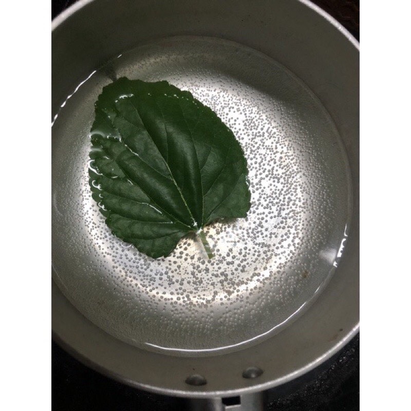 Combo 5 lá dâu tươi nhà trồng