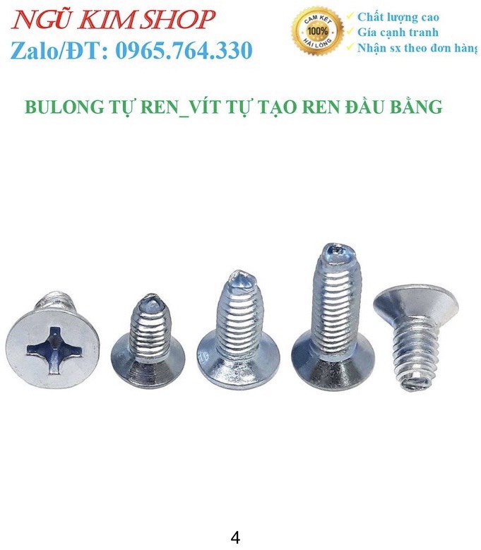 BULONG TỰ REN _ VÍT TỰ TẠO REN ĐẦU BẰNG
