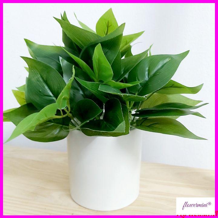Chậu cây lá giả thường xuân cắm sẵn giỏ gỗ thông nhỏ xinh trang trí quầy lễ tân, góc học tập, kệ tủ xanh tươi