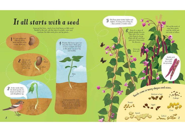 Sách tiếng Anh - Usborne It all starts with a seed… how food grows