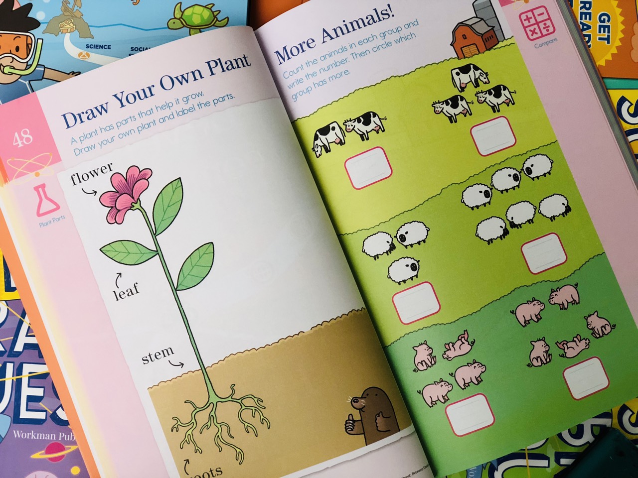 Sách sunner brain quest k1 phát triển tư duy iq cho bé - in màu