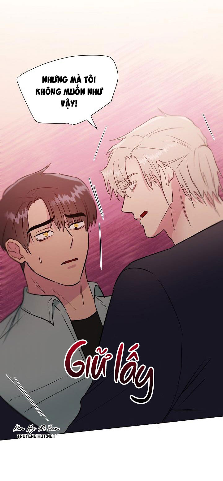 dưới đôi cánh ấy chapter 37 43