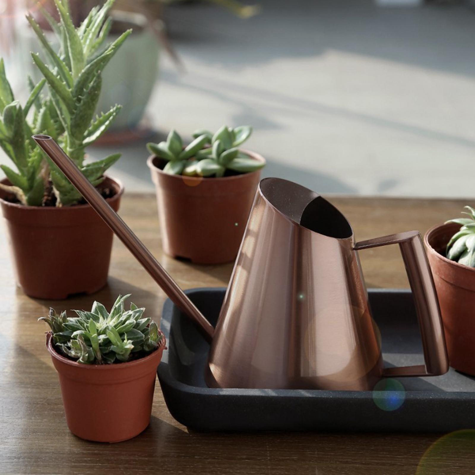 Small Indoor Watering Can for House Plants Stainless Steel Watering Pot with Long Spout