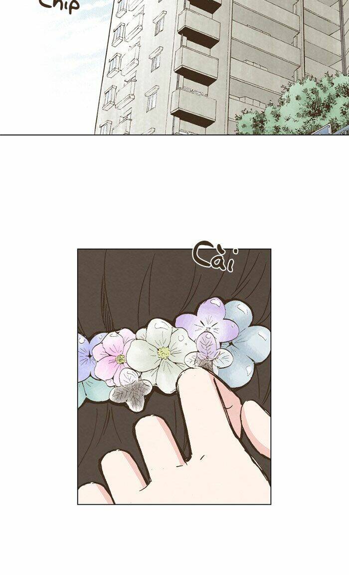 marry me! chapter 48 17