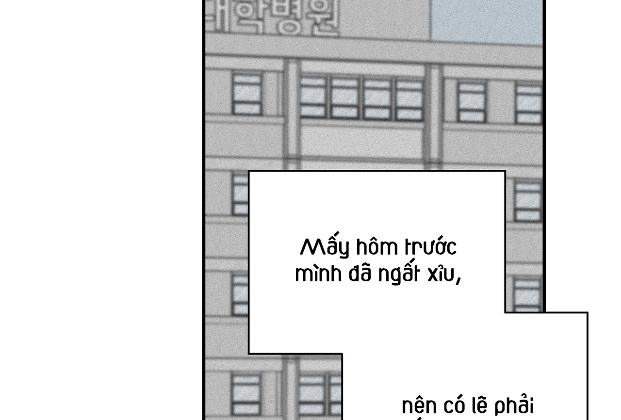 vị ngọt đôi môi chapter 50 10