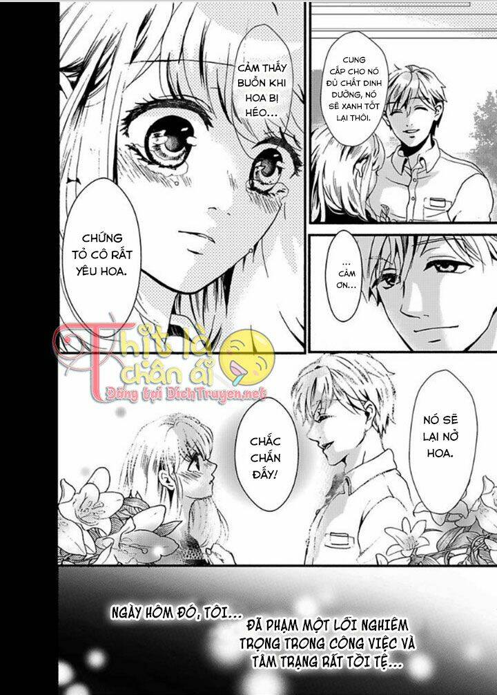 bị giam cầm bởi chàng trai dịu dàng chapter 1 7
