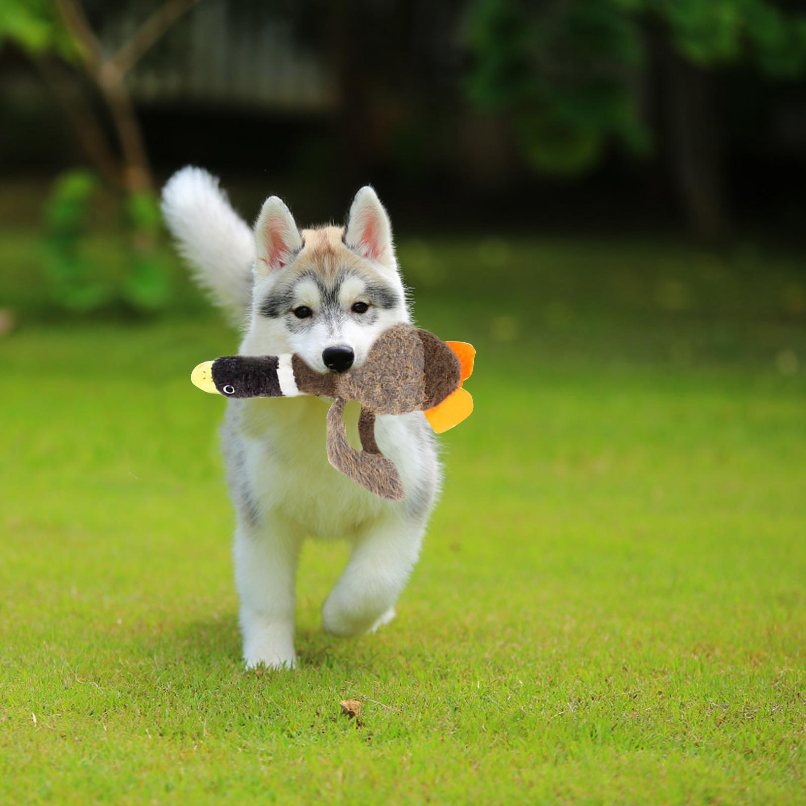 Đồ chơi cho chó với thiết kế tiếng kêu và tiếng động vật