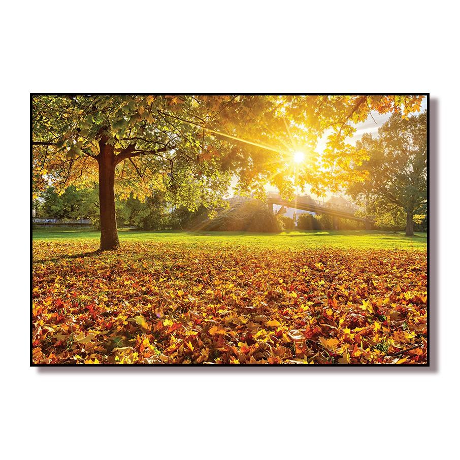 Tranh nội thất ánh nắng mùa thu Q29-CT0805