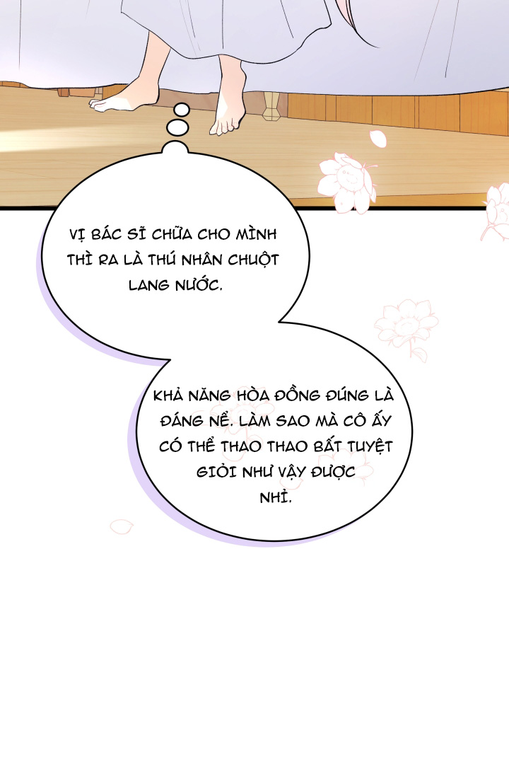 mối liên kết giữa báo đen và bé thỏ chapter 41.1 39