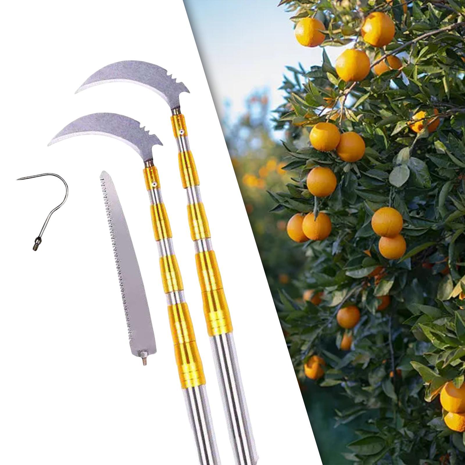Fruit Picker Orchard Tool Garden Equipment Extendable Accs Fruit Picker Tool