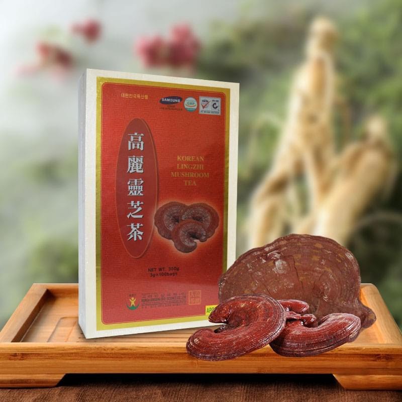 TRÀ LINH CHI HÀN QUỐC