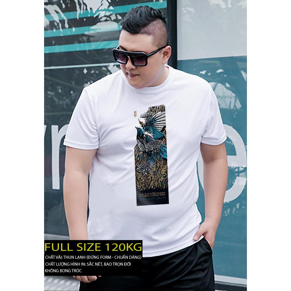Áo thun 3d nam big size - Áo phông cho nam và nữ - Áo thun dành cho người mập nam