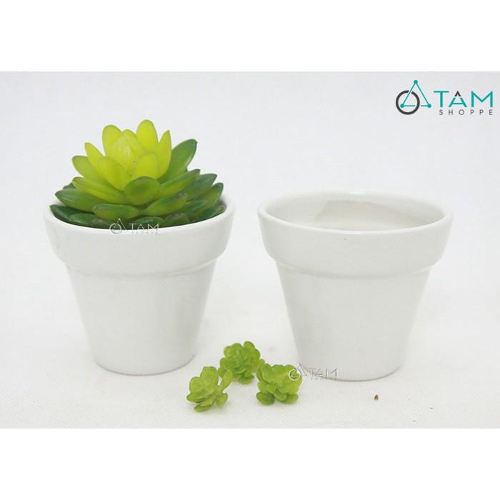 Chậu gốm mini trồng cây để bàn số 61 màu trắng