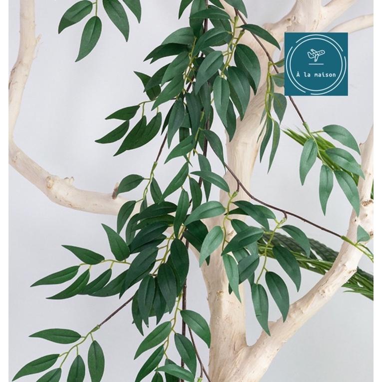 Dây lá liễu dài 180cm đẹp thanh mảnh dùng trong trang trí thiết kế, decor chụp ảnh