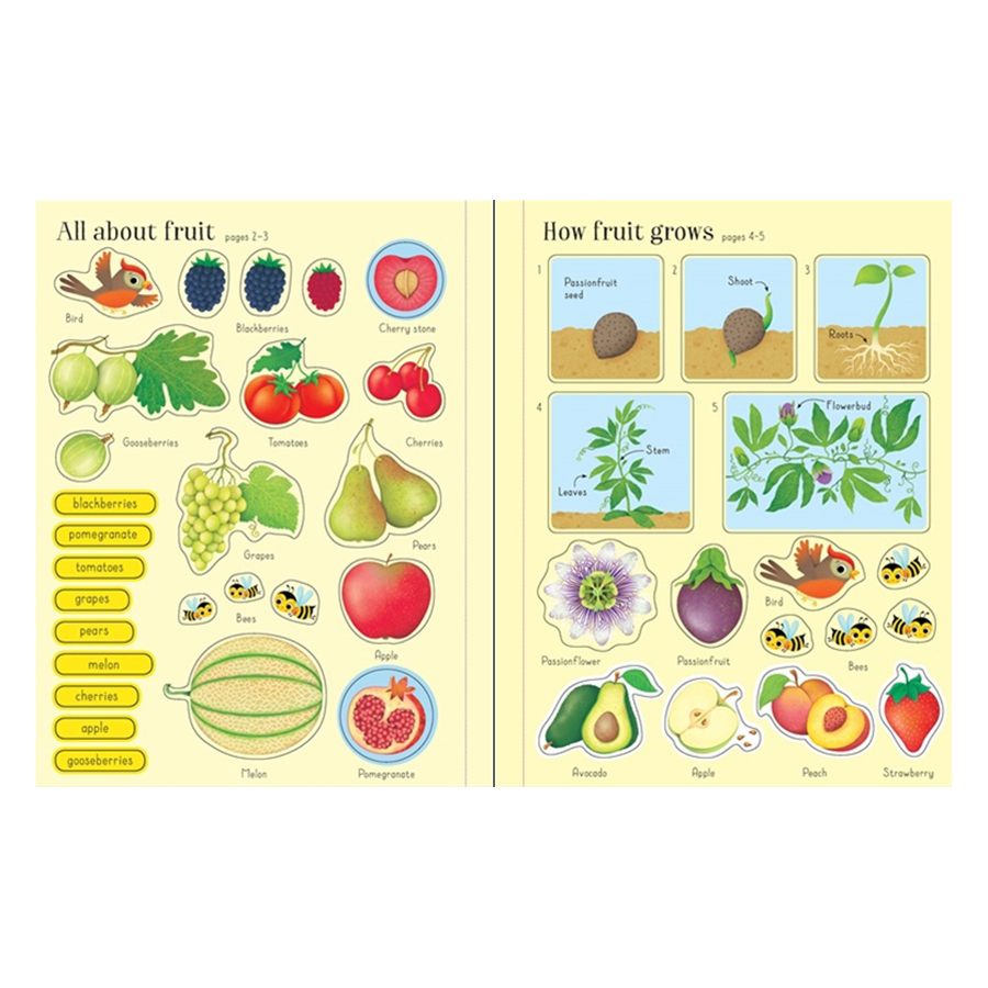 Sách tiếng Anh - Usborne First Sticker Book: Fruit &amp; Vegetables