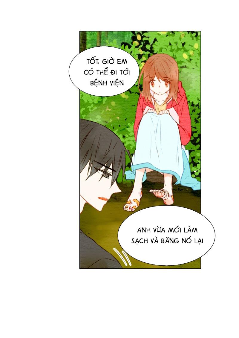 sao chép chapter 14 26