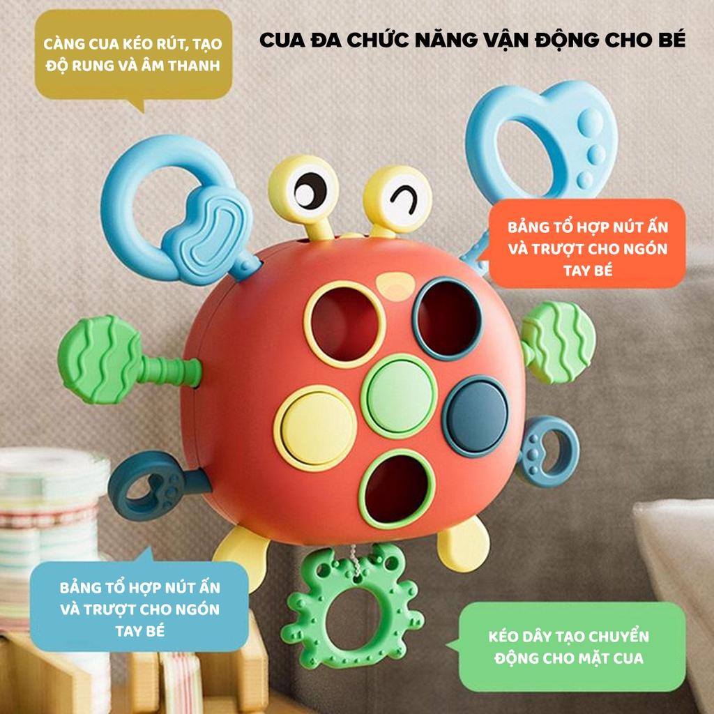 [GIFT] Đồ chơi con cua - Colosmulti - đồ chơi vận động cầm tay cho bé rèn luyện cầm nắm