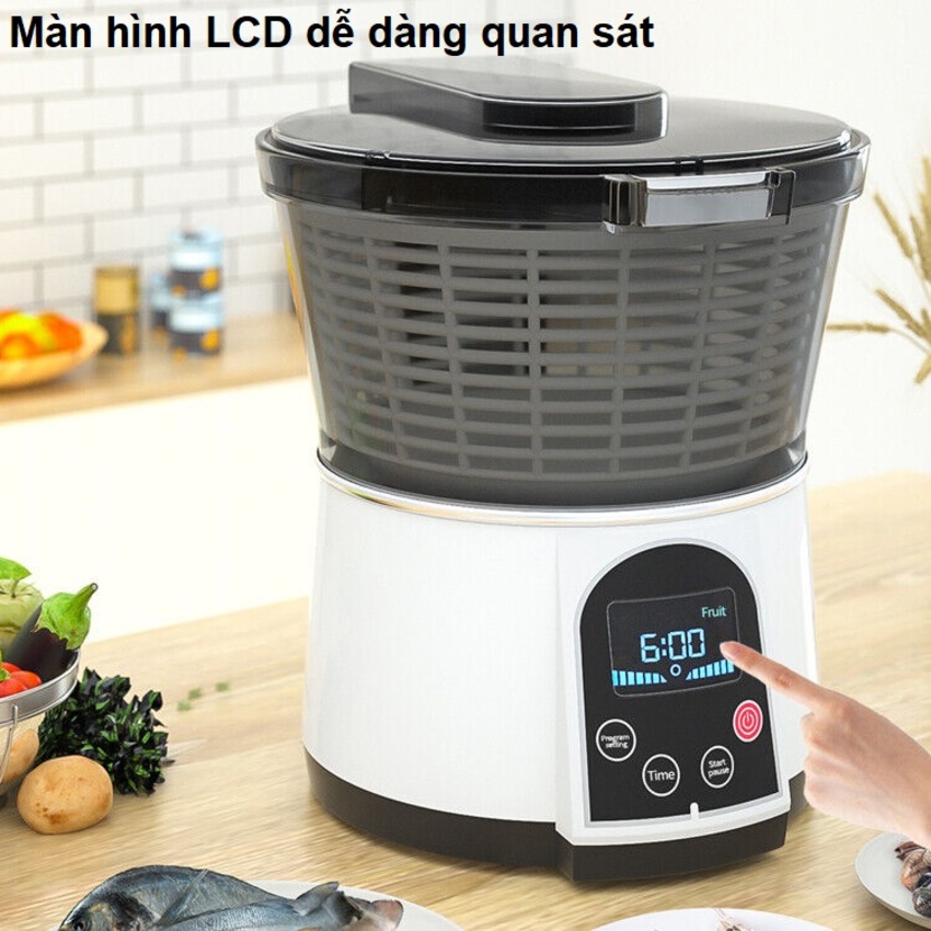 Máy rửa và khử khuẩn thực phẩm bằng Ozone cao cấp Septree AXM-810 6 Lít Công suất 100W