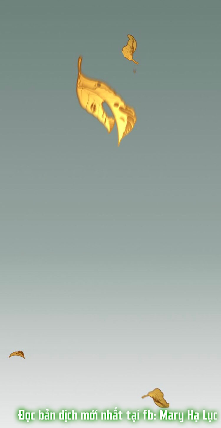 Dưới Bóng Cây Sồi Interview 27