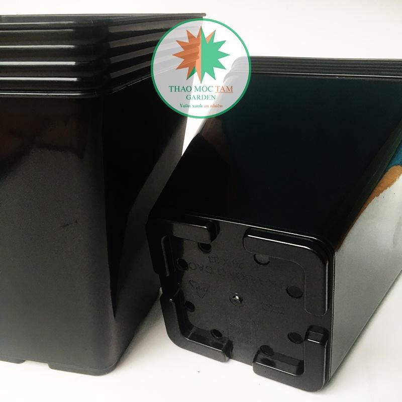 Bộ 05 Chậu Vuông Dày 28x33cm Trồng Hoa Hồng, Sung Mỹ, Cây Kiểng – Chất liệu nhựa PP, có độ dẻo chất lượng cao