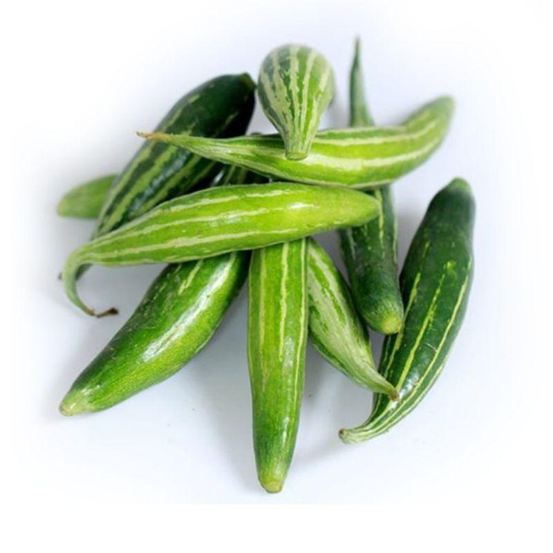 Hạt giống mướp rắn , đóng gói 1gr