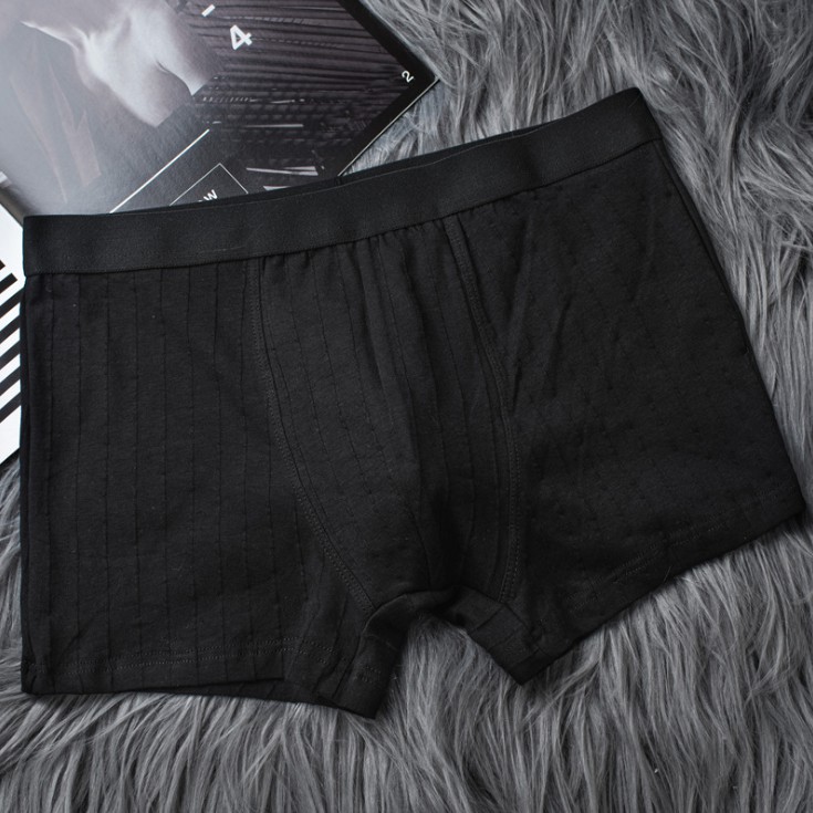 Combo 5 Quần lót nam boxer kháng khuẩn Hàn Quốc