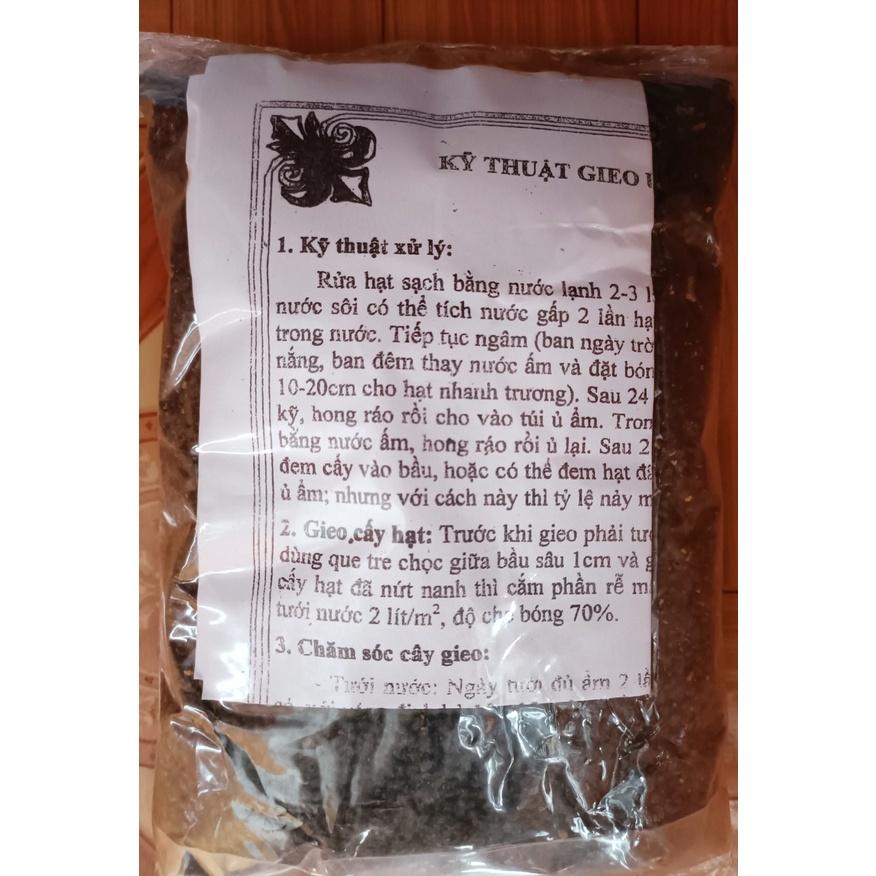 Hạt giống keo tai tượng úc trồng rừng, túi 50 gram