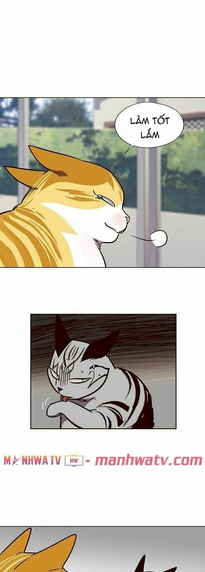 biến thân thành mèo chapter 58 25