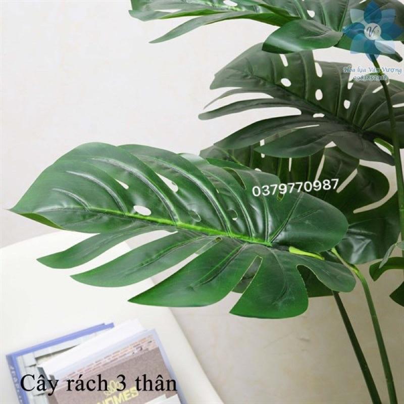 Cây giả ,Cây lá rùa xẻ độ cao 130cm 18 lá to