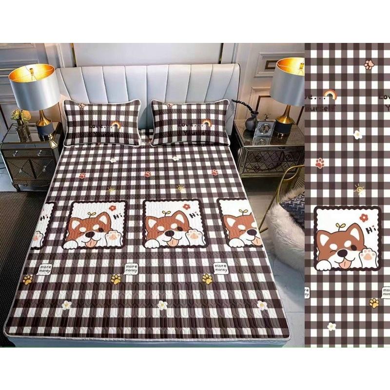 Chiếu điều hòa cao su non 5D M2T Bedding vải lụa Tencel mát cao su non Latex mềm mịn đủ kích thước m6/m8/2m2