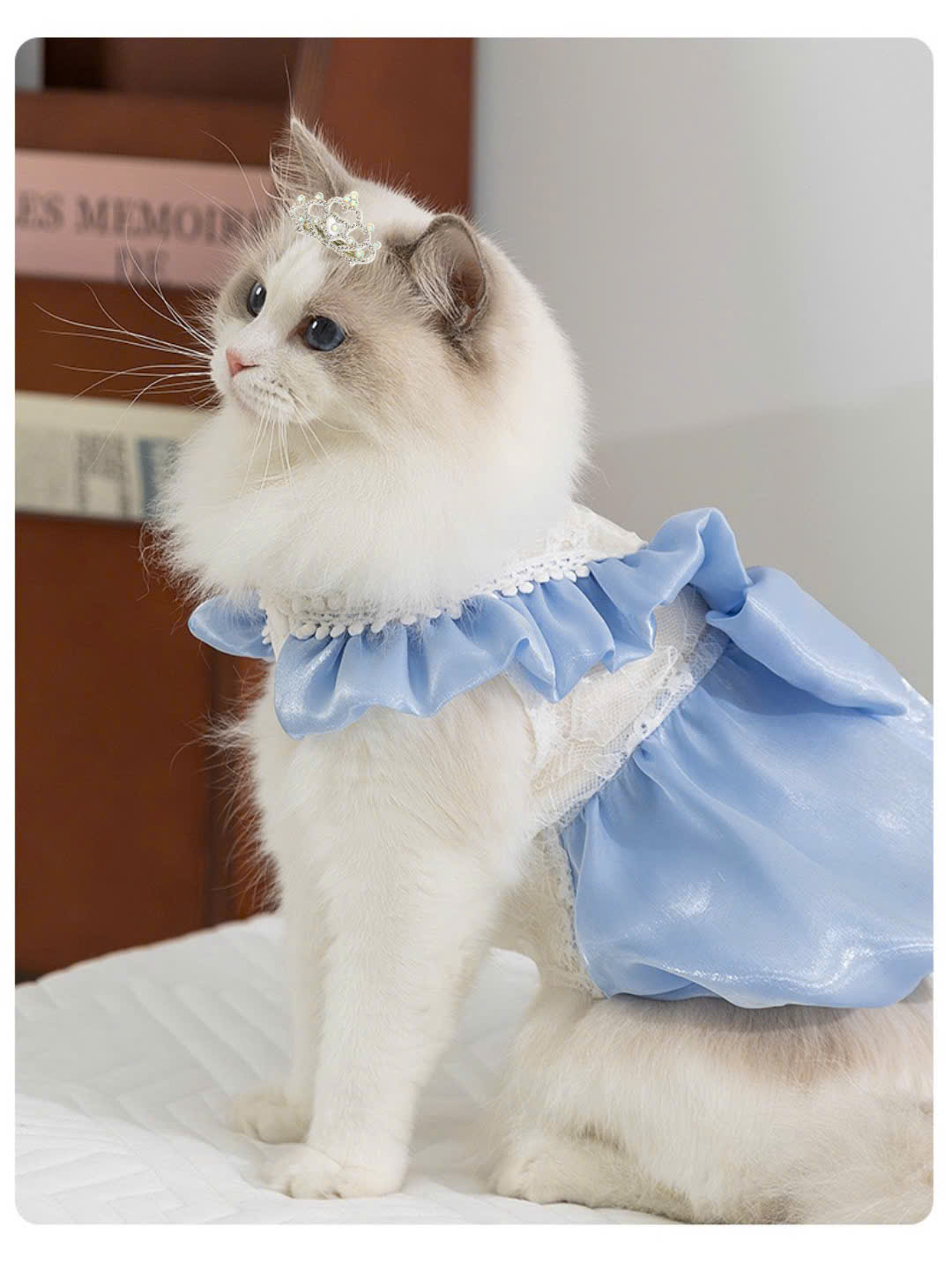 KẸP TÓC CÀI TÓC BUỘC TÓC VƯƠNG MIỆN SANG TRỌNG NHIỀU MÀU DỄ THƯƠNG MÃ 28 XINH XẮN CHO THÚ CƯNG CHÓ MÈO