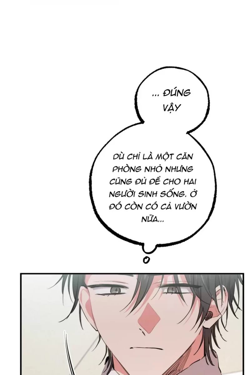 những chú thỏ của hapypy chapter 31.5 4