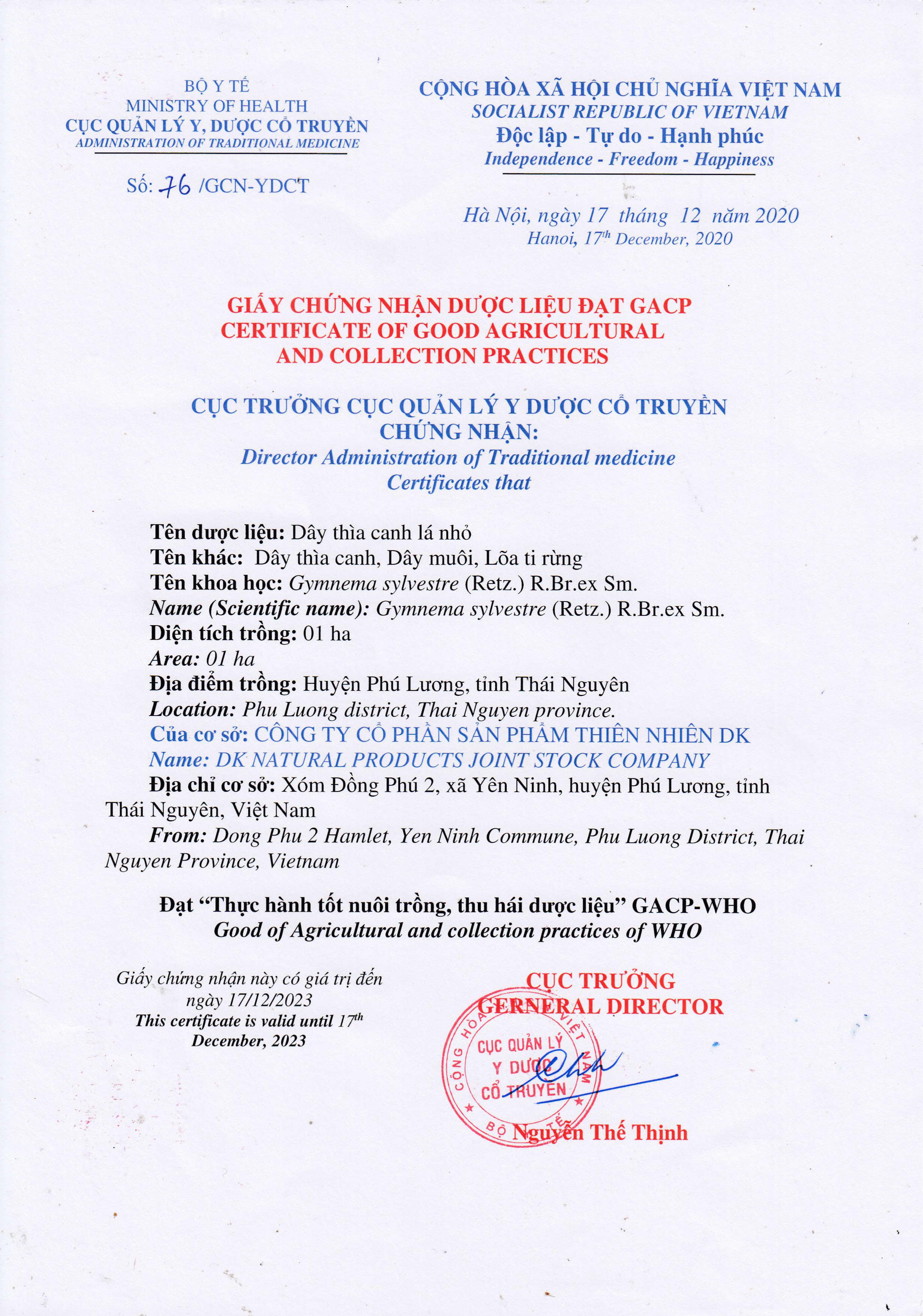 Dây thìa canh DK - Từ Dây thìa canh lá to