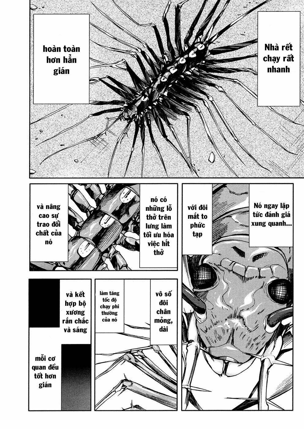 arachnid chapter 34 6