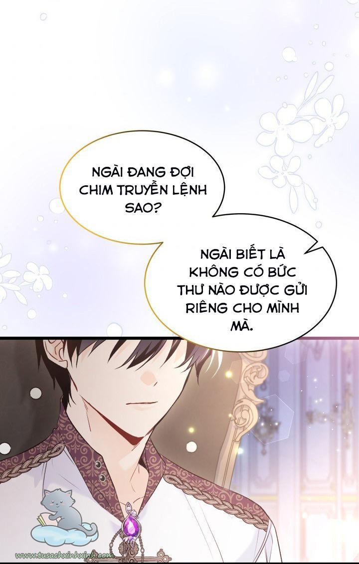 quan hệ cộng sinh giữa báo đen và thỏ trắng chapter 62 30