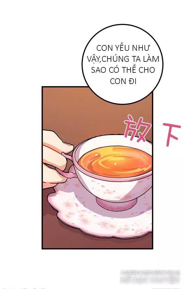 tôi là tiểu thư của gia đình này chapter 25.1 11