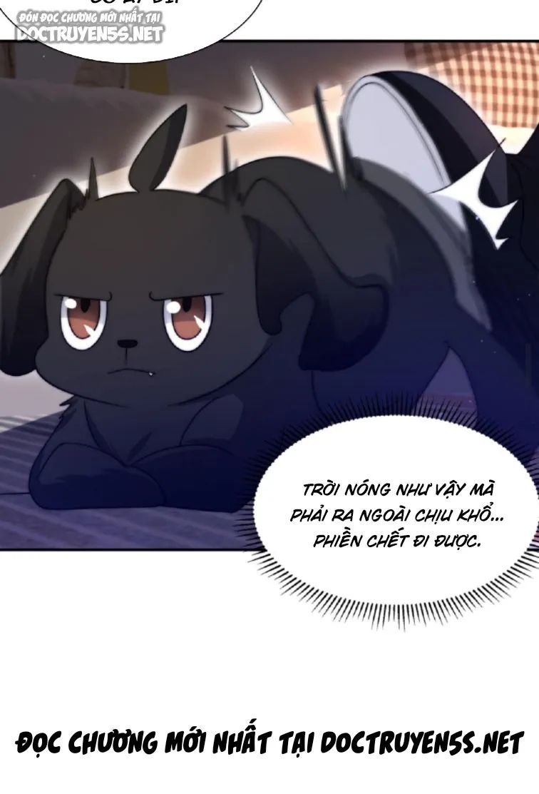 không gian hệ lão lục: dự trữ một vạn tấn thịt ngày tận thế chapter 34 20