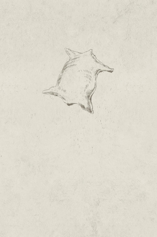 Sách ngoại văn: Percy Jackson And The Olympians - The Graphic Novel Book 2: The Sea Of Monsters