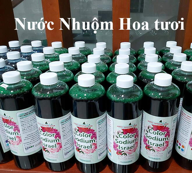 10 chai Nhuộm Hoa tươi dạng nước Công Nghệ Israel giúp hoa nhuộm đổi màu theo ý muốn nhuộm trên 250 cành hoa x 1 chai