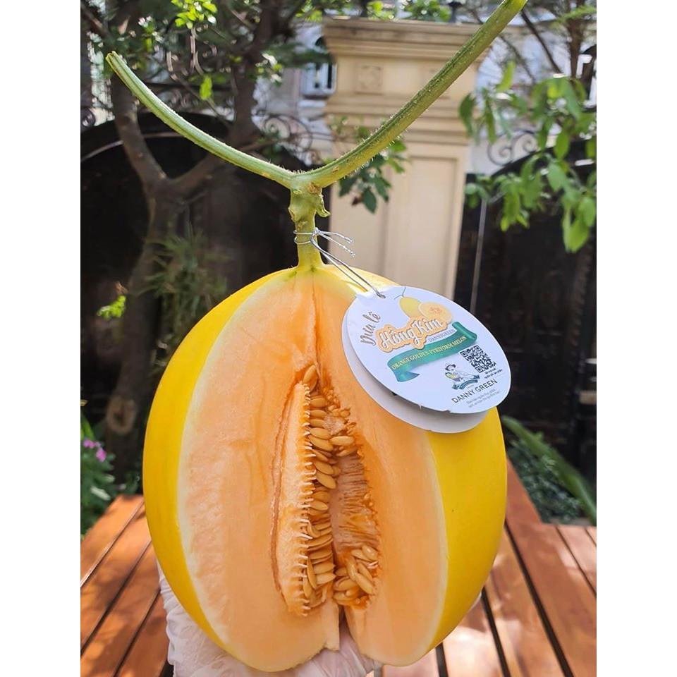 PN -Dưa Lê Siêu Trái Siêu Ngọt Hồng Kim Long - Trồng Rau Xanh Rau Sạch Organic Bằng Đất Sạch, Mùn Dừa Và Phân Bón Hữu Cơ