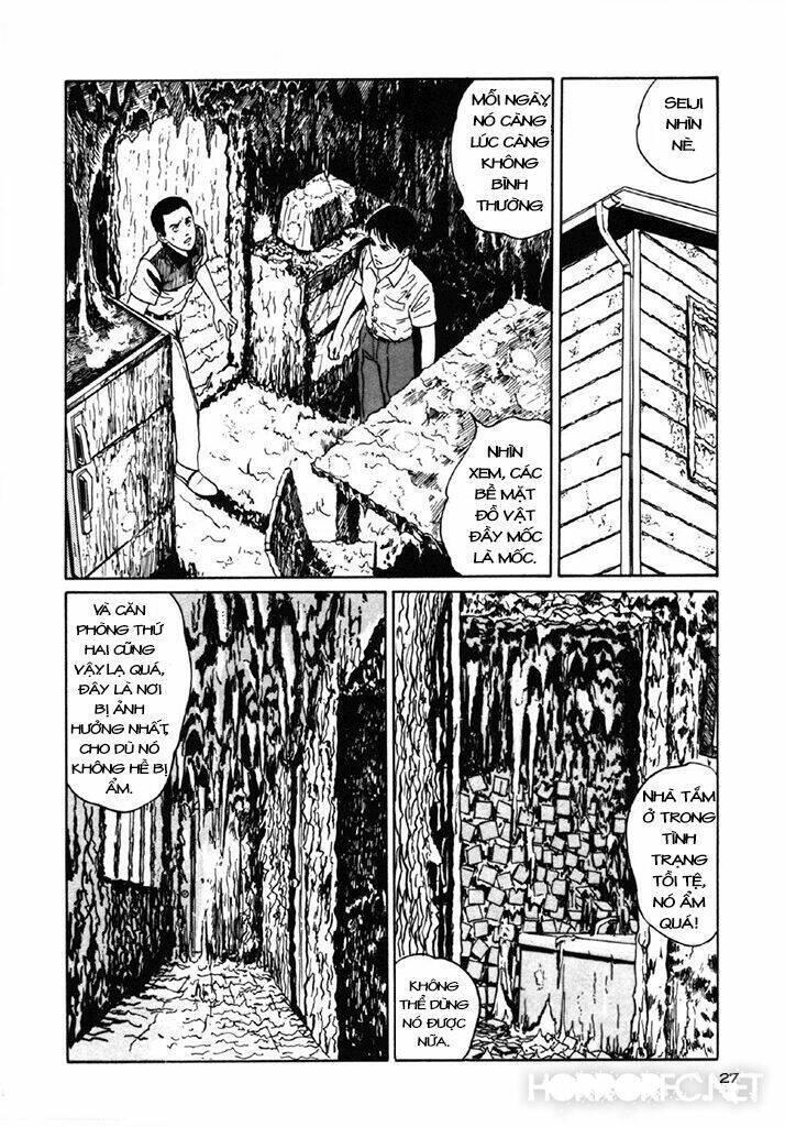 tuyển tập truyện ngắn kinh dị của ito junji chapter 7.3 29
