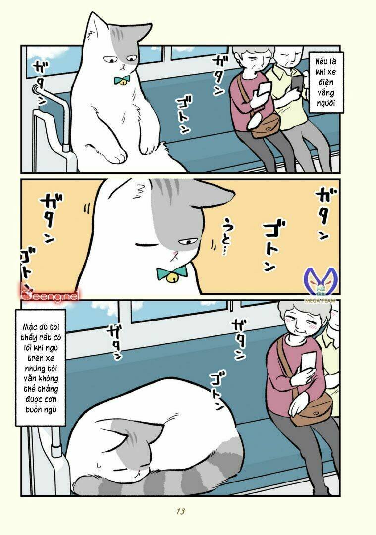 mèo công sở chapter 1 10