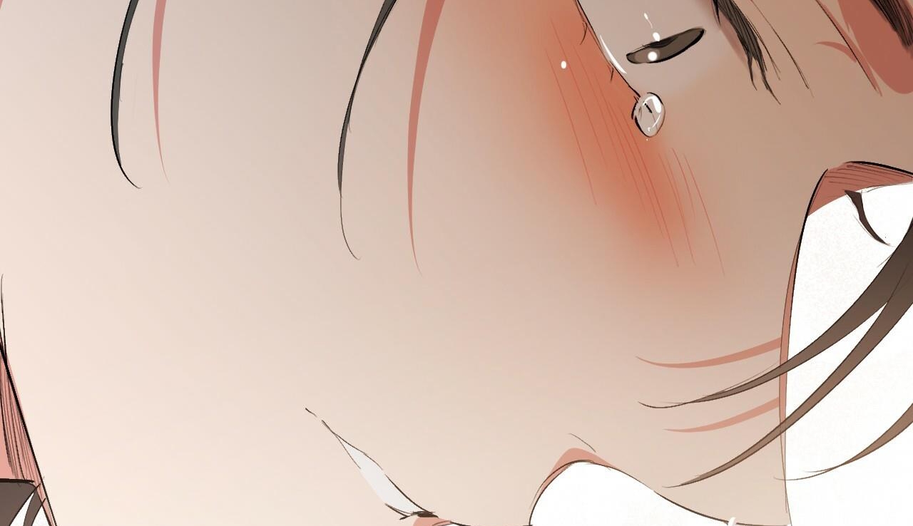 đàn thỏ của habibi chapter 50 253