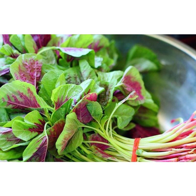 50Gr HẠT GIỐNG RAU DỀN KHOANG - DỀN TÍA