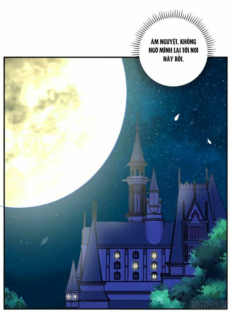 người yêu khát máu của tôi chapter 84 59