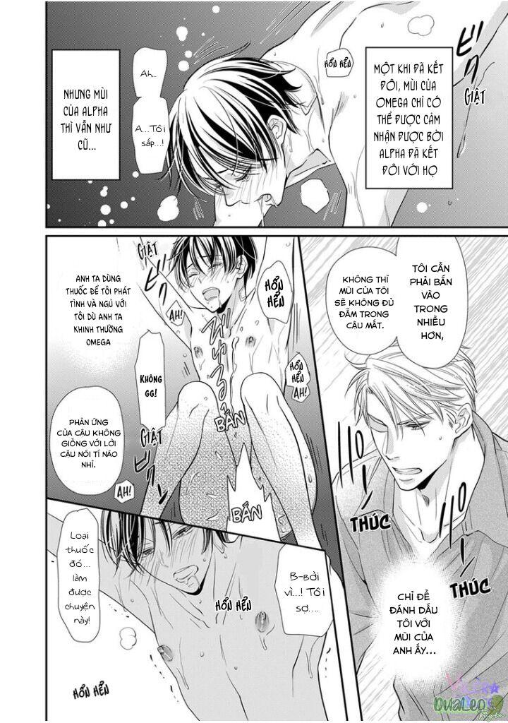 bạn đời dối trá chapter 2 2