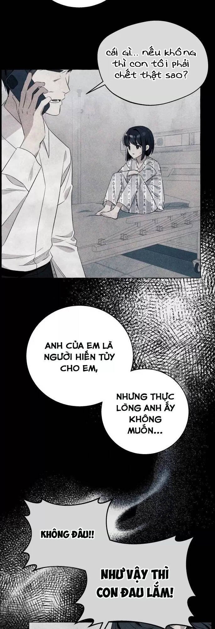 tôi tưởng đó chỉ là tiểu thuyết trọng sinh bình thường chapter 15 41